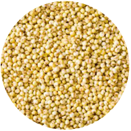 Nugget Lentils